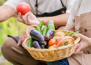 家庭菜園のアドバイス