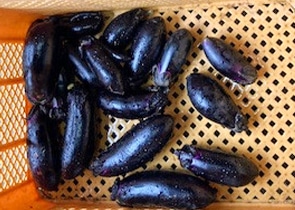 なす(千両二号･水なす)