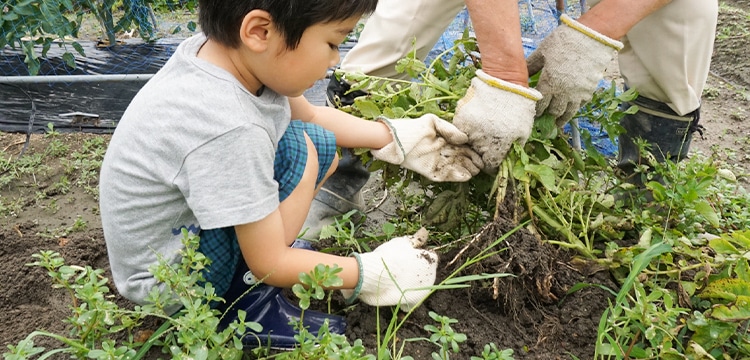 必要なものと流れ