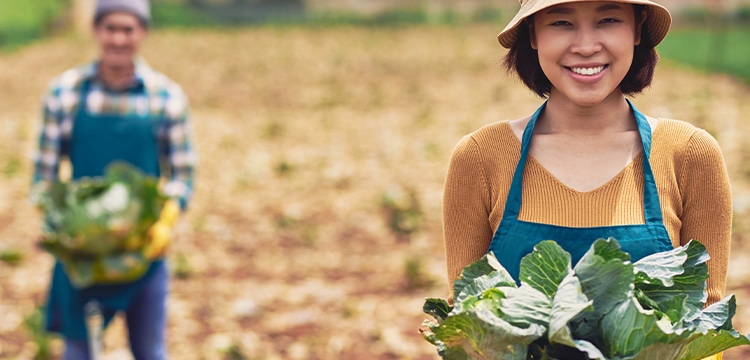 農園選びのポイント